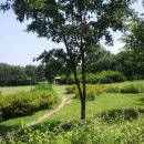 중앙토지보상원 행정사합동사무소 이미지