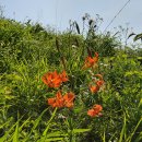 철원농장 이미지