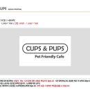 컵스앤펍스
