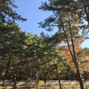 UR(경주시)-[포석로]-하-3 | 경주 여행 가 볼 만한 곳 불국사와 첨성대 대릉원 황리단길 1박 2일 필수 코스