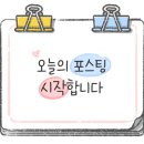 더디토헤어 이미지