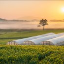 김동주농장 이미지