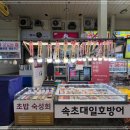 속초대일호방어