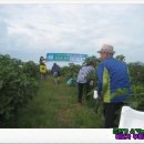 수화로 소통하기 이미지