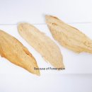 터치드바이뉴질랜드 이미지