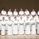 파리나무십자가 소년합창단 이미지