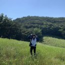 유곡목장 네이버블로그