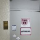 꼼꼼하게 알아보고 결정한 꽃가마 웨딩카 향단이 헬퍼 이모 드레스 피팅 및 계약 후기