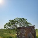 문기 농장 이미지