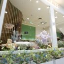 누가베스트 수원광교직영점 이미지