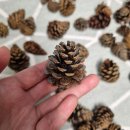 래미안어반파크어린이집 이미지