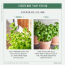 반려식물키우기 이미지