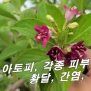 (주)효소세상 이미지