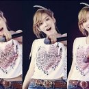 탱탱 이미지
