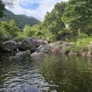 [광양여행] 계곡은 전라도가 짱짱맨이지(+옥룡계곡스팟)👍