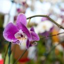 노을농장 이미지