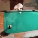 당구매니아 이미지