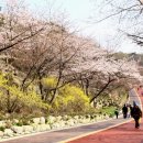 남산 산책로 이미지