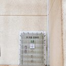 청룡체육관 이미지