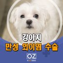 Dr. 오즈 동물병원 이미지