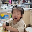 시골쥐를 부탁해 이미지