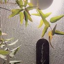 제주 하늘 바다 민박 이미지