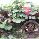 고장난벽시계 이미지