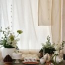 지혜 | [대구 베이비스튜디오] - 슬기롭고지혜롭게 돌촬영 후기