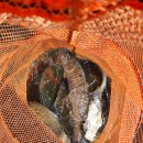 용곡낚시터 이미지