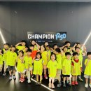국가대표 태권도 키즈 이미지