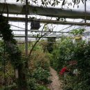 길목농장 이미지