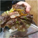 갈비 한짝 이미지