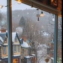 COZY 멍 이미지