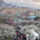 537약국 이미지