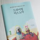 노마 이미지