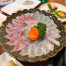 [부산 동래구/사직동 맛집] 사직구장 방어&amp;물회가 맛있는 횟집, &#39;삼천포 횟집&#39;