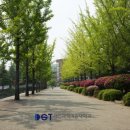 대전과학기술대학교 정문 이미지