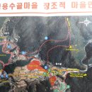 치악산명품블루베리