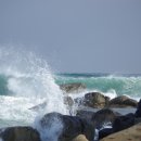 파도파도 이미지