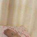 화수목한의원 이미지