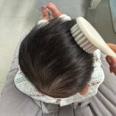 올리브케어 | 아기 두피 각화증 식용 올리브오일 각질 케어후기