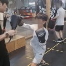 성남 탑 복싱 이미지