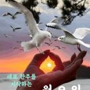 기쁨미소 Daum카페