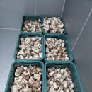 상천농장 이미지