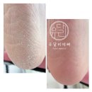 유달리예뻐 네이버블로그