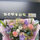 플라워쟈스민 이미지