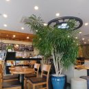 탐앤탐스 배방점 이미지