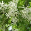 음악이 함께하는 밤 이미지