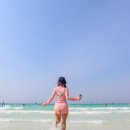 태국 파타야 여행 12월 산호섬 패키지 비용 투어 후기