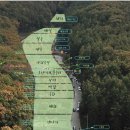 숲속애견랜드 이미지